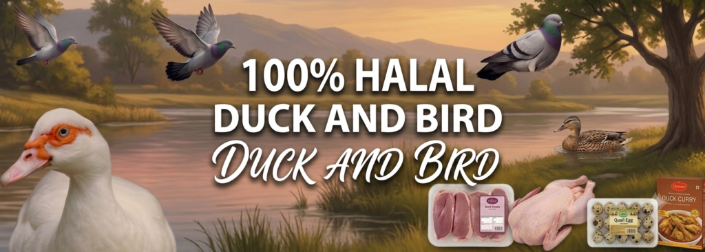 Duck and Bird banar