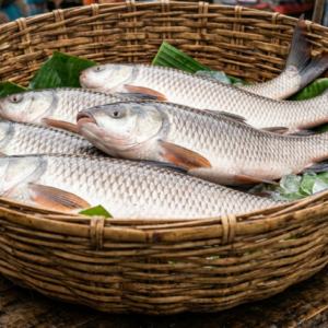 fresh river rui fish (রুই মাছ) 1.5kg to 5kg
