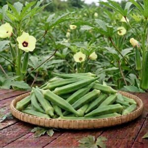 fresh okra (bhindi) / তাজা ঢেঁড়স – 500gm to 1kg