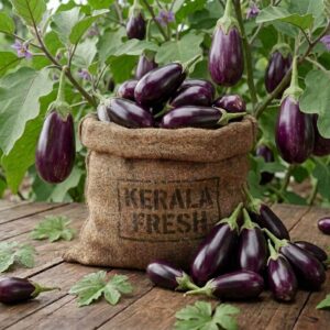 fresh eggplant (brinjal) / তাজা বেগুন – 500gm to 1kg