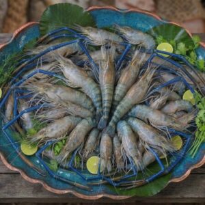Fresh Fish fresh jumbo golda chingri (গলদা চিংড়ি) 500gm to 1kg