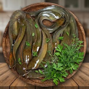 Fresh Fish fresh deshi magur fish (মাগুর মাছ) 500gm to 1kg