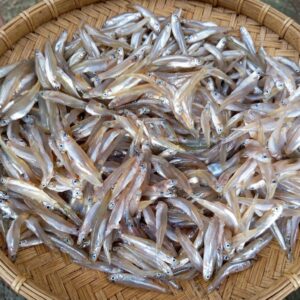Fresh Fish fresh deshi river keski fish (নদীর কাচকি মাছ) 250gm to 500gm