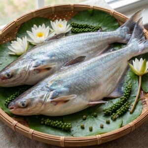 Fresh Fish fresh pangas fish (পাঙ্গাস মাছ) 1.5kg to 2.5kg