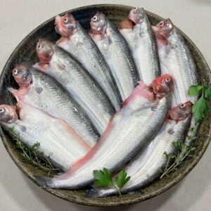 Fresh Fish fresh cleaned pabda fish (পাবদা মাছ) 500gm to 1kg